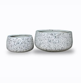 CHẬU KIỂNG