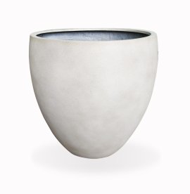 CHẬU KIỂNG