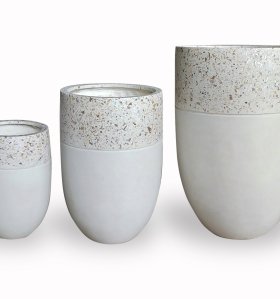 CHẬU KIỂNG